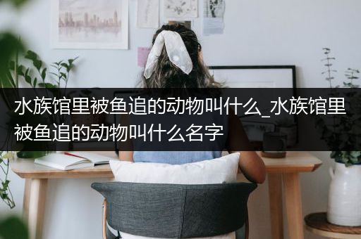 水族馆里被鱼追的动物叫什么_水族馆里被鱼追的动物叫什么名字