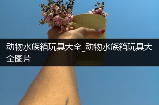 动物水族箱玩具大全_动物水族箱玩具大全图片