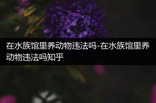 在水族馆里养动物违法吗-在水族馆里养动物违法吗知乎