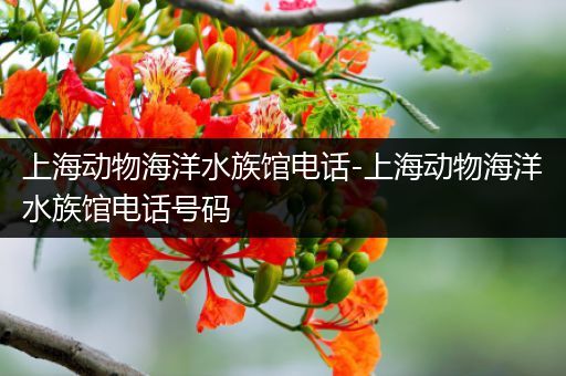 上海动物海洋水族馆电话-上海动物海洋水族馆电话号码