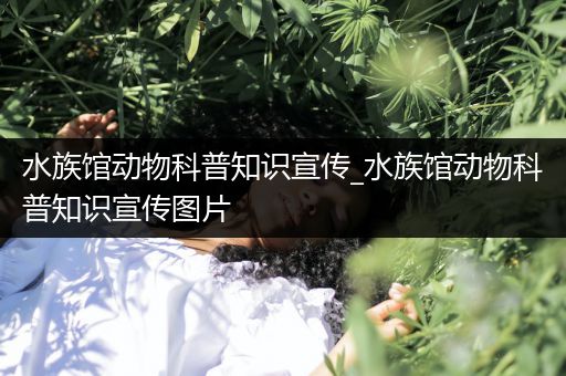 水族馆动物科普知识宣传_水族馆动物科普知识宣传图片