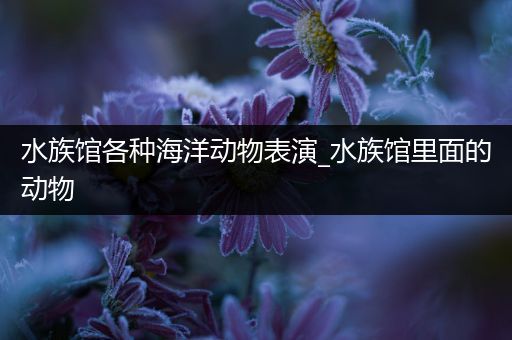 水族馆各种海洋动物表演_水族馆里面的动物