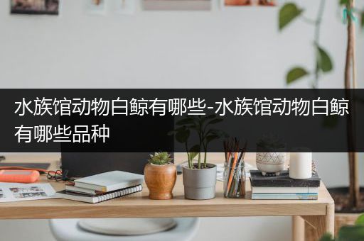 水族馆动物白鲸有哪些-水族馆动物白鲸有哪些品种