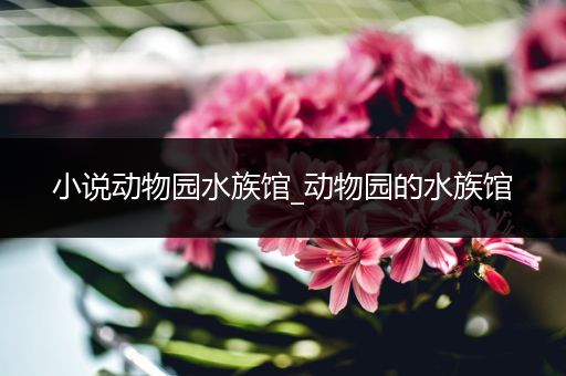 小说动物园水族馆_动物园的水族馆