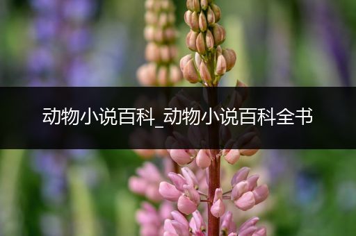 动物小说百科_动物小说百科全书
