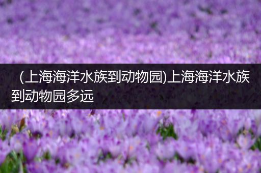（上海海洋水族到动物园)上海海洋水族到动物园多远