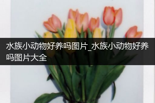 水族小动物好养吗图片_水族小动物好养吗图片大全