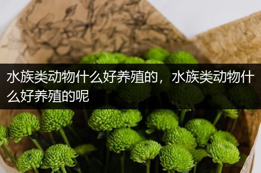 水族类动物什么好养殖的，水族类动物什么好养殖的呢
