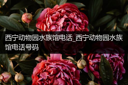 西宁动物园水族馆电话_西宁动物园水族馆电话号码
