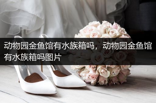 动物园金鱼馆有水族箱吗，动物园金鱼馆有水族箱吗图片