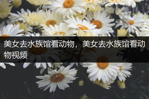 美女去水族馆看动物，美女去水族馆看动物视频