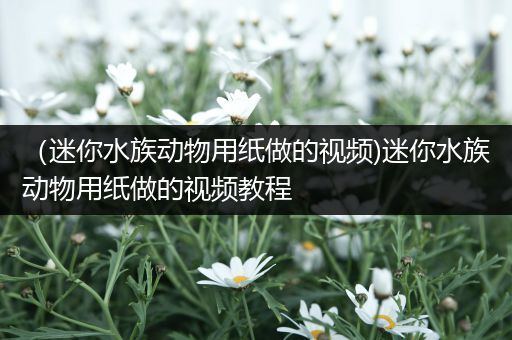 （迷你水族动物用纸做的视频)迷你水族动物用纸做的视频教程