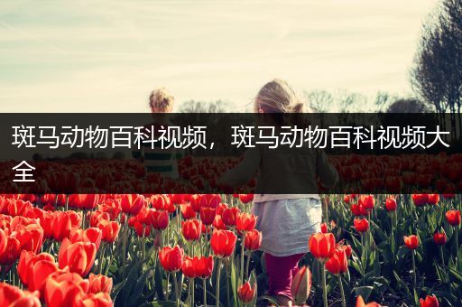 斑马动物百科视频，斑马动物百科视频大全