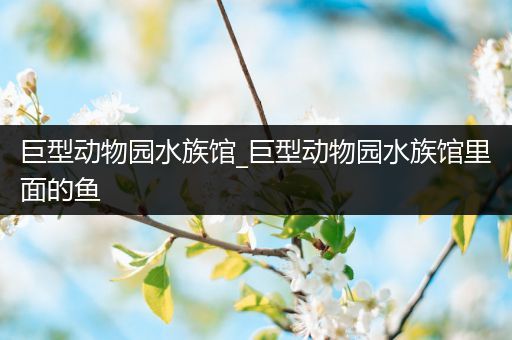 巨型动物园水族馆_巨型动物园水族馆里面的鱼