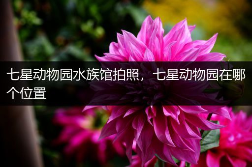 七星动物园水族馆拍照，七星动物园在哪个位置