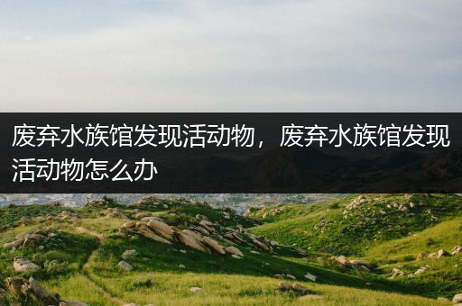 废弃水族馆发现活动物，废弃水族馆发现活动物怎么办