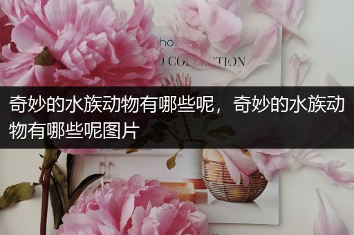 奇妙的水族动物有哪些呢，奇妙的水族动物有哪些呢图片