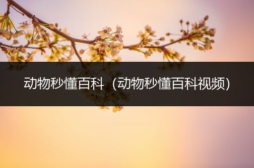 动物秒懂百科（动物秒懂百科视频）