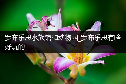 罗布乐思水族馆和动物园_罗布乐思有啥好玩的