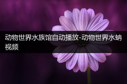 动物世界水族馆自动播放-动物世界水蚺视频