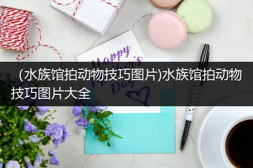 （水族馆拍动物技巧图片)水族馆拍动物技巧图片大全