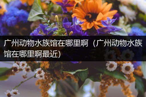 广州动物水族馆在哪里啊（广州动物水族馆在哪里啊最近）