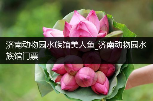 济南动物园水族馆美人鱼_济南动物园水族馆门票