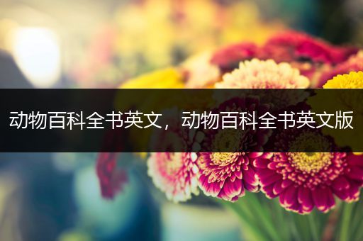 动物百科全书英文，动物百科全书英文版