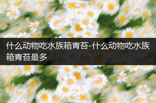 什么动物吃水族箱青苔-什么动物吃水族箱青苔最多