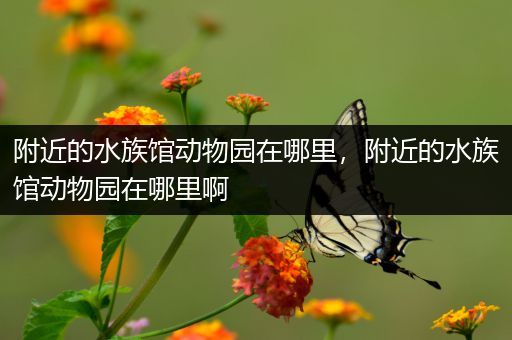 附近的水族馆动物园在哪里，附近的水族馆动物园在哪里啊