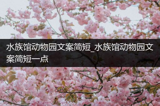 水族馆动物园文案简短_水族馆动物园文案简短一点