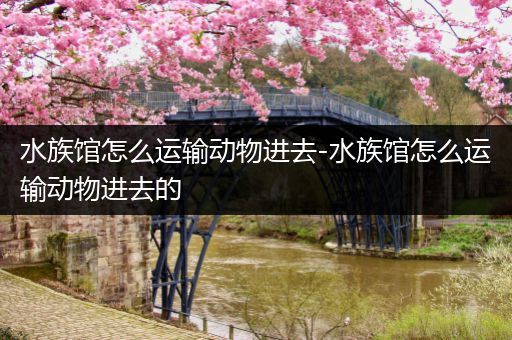 水族馆怎么运输动物进去-水族馆怎么运输动物进去的