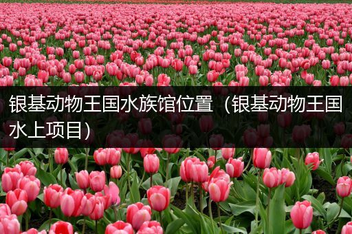 银基动物王国水族馆位置（银基动物王国水上项目）
