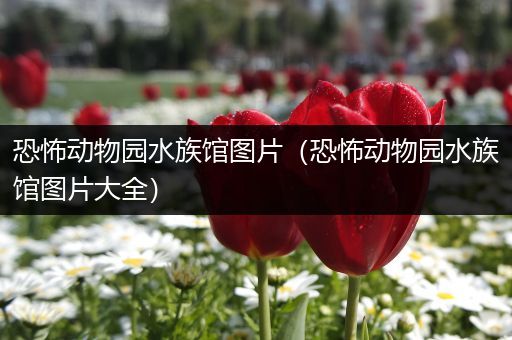 恐怖动物园水族馆图片（恐怖动物园水族馆图片大全）