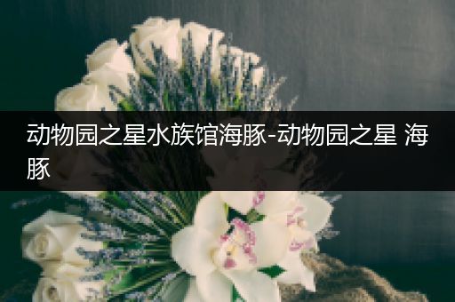 动物园之星水族馆海豚-动物园之星 海豚