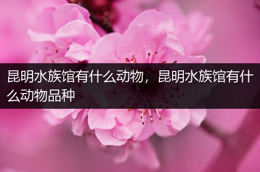 昆明水族馆有什么动物，昆明水族馆有什么动物品种