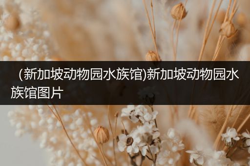 （新加坡动物园水族馆)新加坡动物园水族馆图片