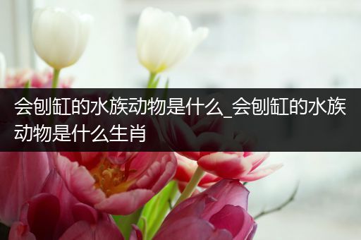 会刨缸的水族动物是什么_会刨缸的水族动物是什么生肖