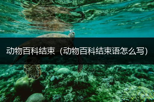 动物百科结束（动物百科结束语怎么写）