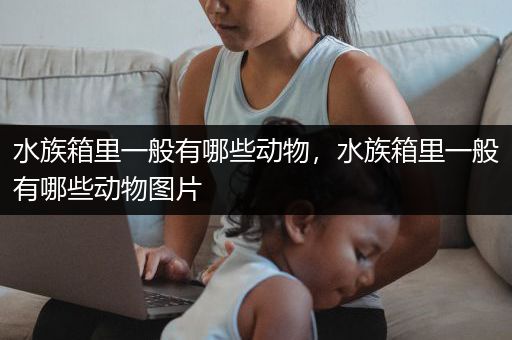 水族箱里一般有哪些动物，水族箱里一般有哪些动物图片