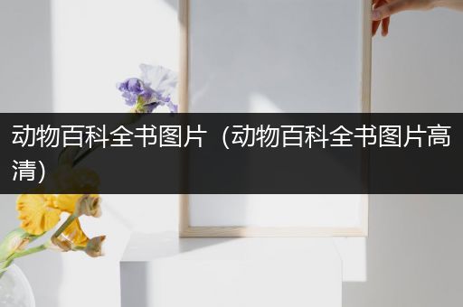 动物百科全书图片（动物百科全书图片高清）