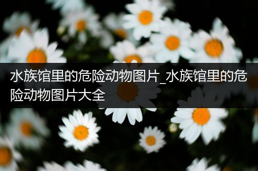 水族馆里的危险动物图片_水族馆里的危险动物图片大全