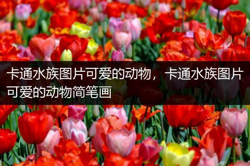 卡通水族图片可爱的动物，卡通水族图片可爱的动物简笔画
