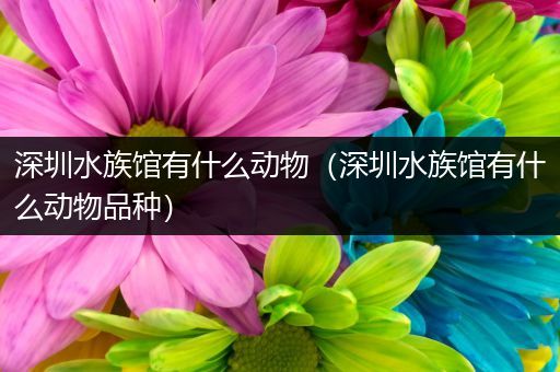 深圳水族馆有什么动物（深圳水族馆有什么动物品种）