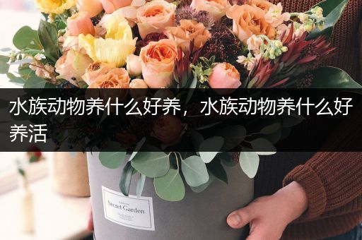 水族动物养什么好养，水族动物养什么好养活