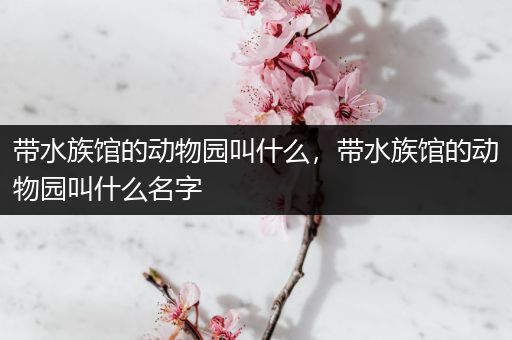 带水族馆的动物园叫什么，带水族馆的动物园叫什么名字