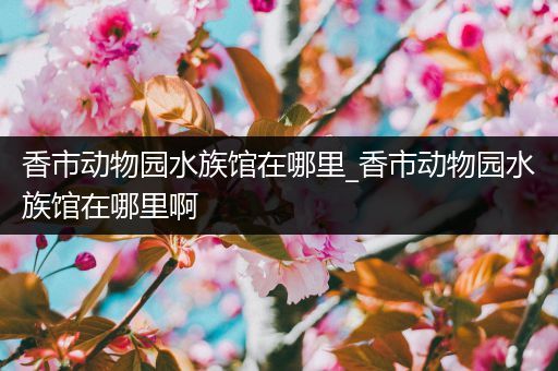 香市动物园水族馆在哪里_香市动物园水族馆在哪里啊