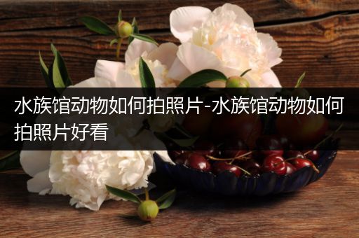 水族馆动物如何拍照片-水族馆动物如何拍照片好看