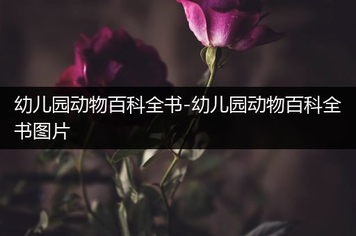 幼儿园动物百科全书-幼儿园动物百科全书图片
