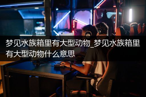 梦见水族箱里有大型动物_梦见水族箱里有大型动物什么意思
